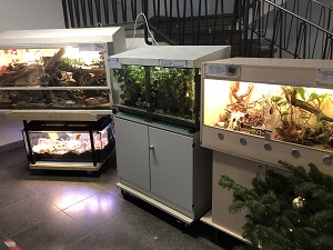 Der Schulzoo. Hier die vier sehr liebevoll eingerichteten Terrarien