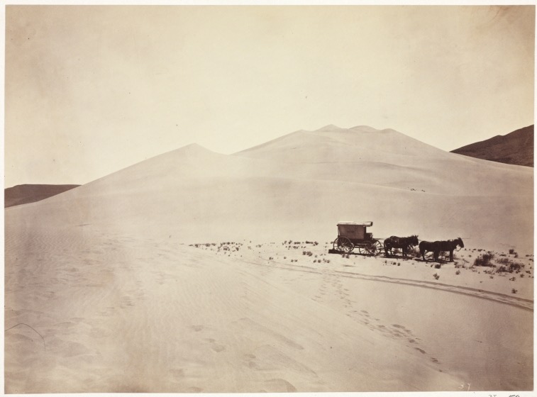 Foto zeigt Pferdekutsche in der Wüste.