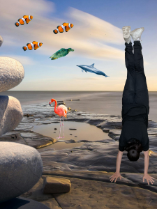 Ein Jugendlicher macht einen Handstand am Meer. Am Boden und im Himmel sind verschiedene Meerestiere