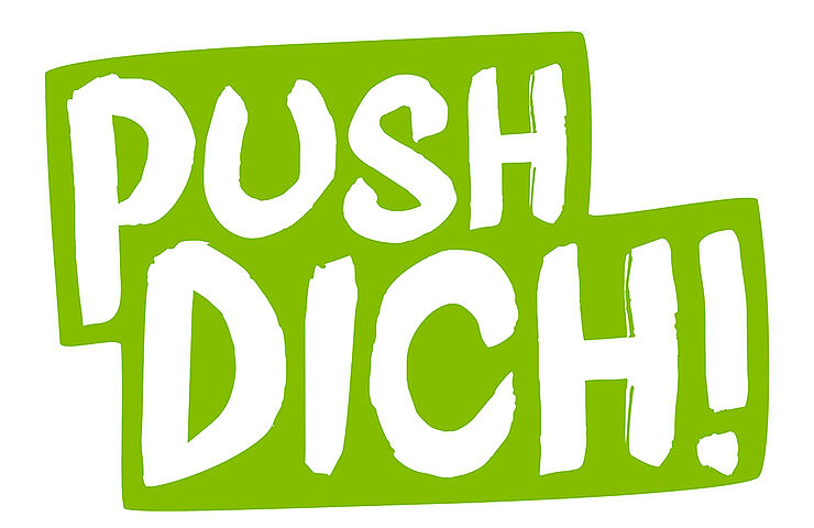 Push Dich Logo