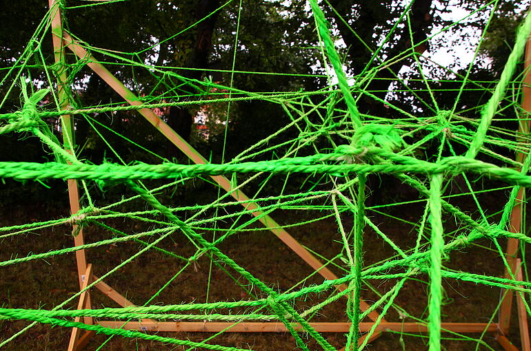grüne Netze